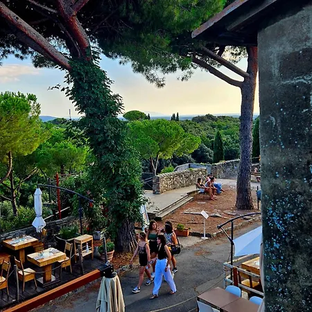 Bolgheri Home * Bolgheri