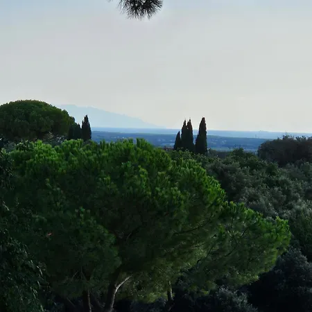 Apartmán Bolgheri Home *